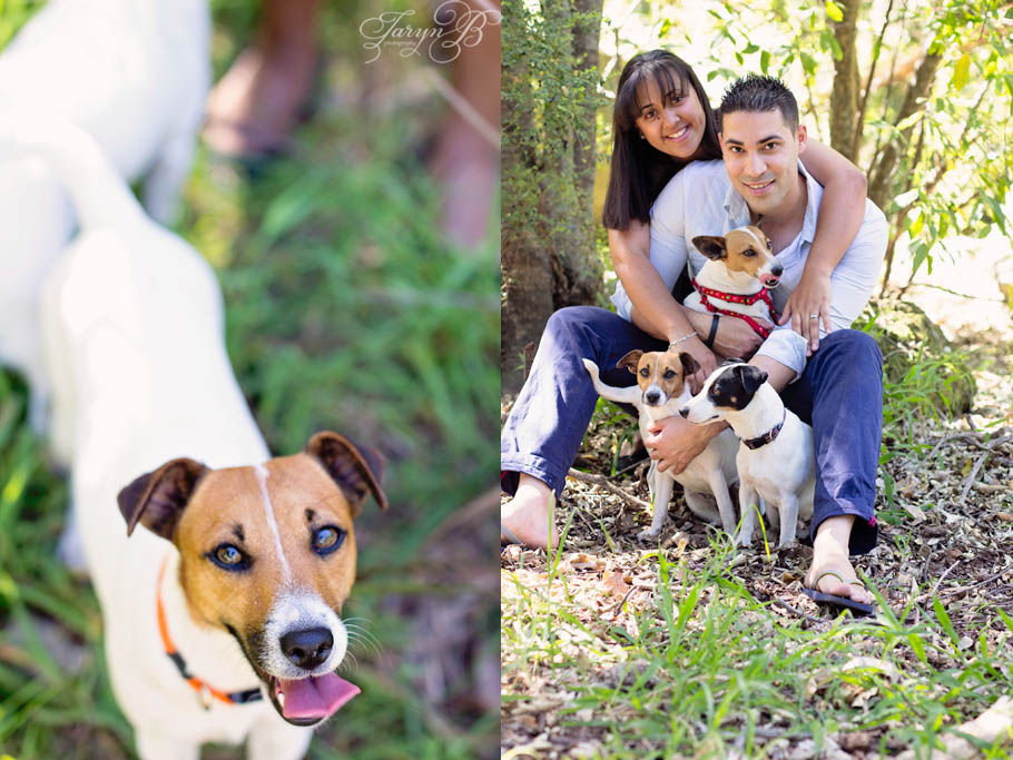 Engagement_Forest_Taryn_B_Photography_Cape Town_Photographer-20