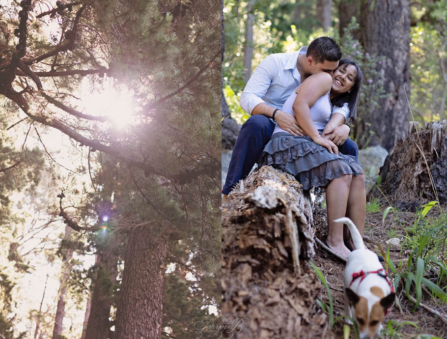 Engagement_Forest_Taryn_B_Photography_Cape Town_Photographer-26