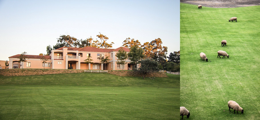 Garden_Route_Holiday_Taryn_B_Photography_personal_15
