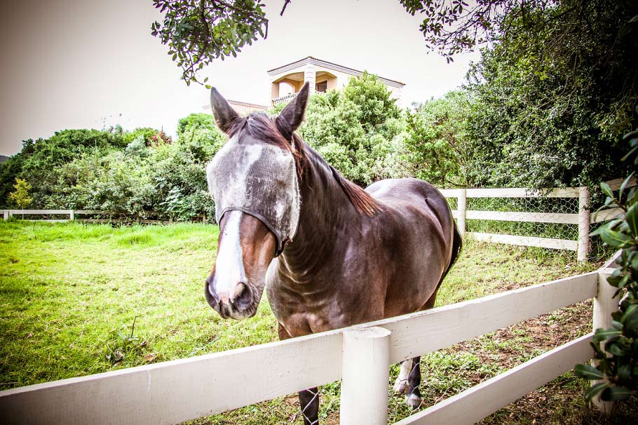 Garden_Route_Holiday_Taryn_B_Photography_personal_16