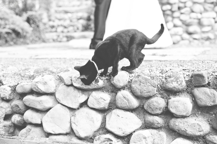 Lynn_Artelio_Taryn_B_Photography_Cape_Town_Wedding_Photographer-25