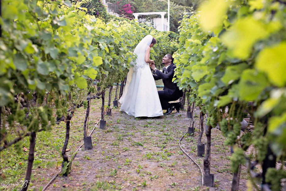 Lynn_Artelio_Taryn_B_Photography_Cape_Town_Wedding_Photographer-34