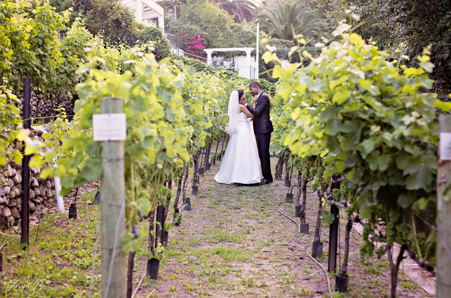 Lynn_Artelio_Taryn_B_Photography_Cape_Town_Wedding_Photographer-35