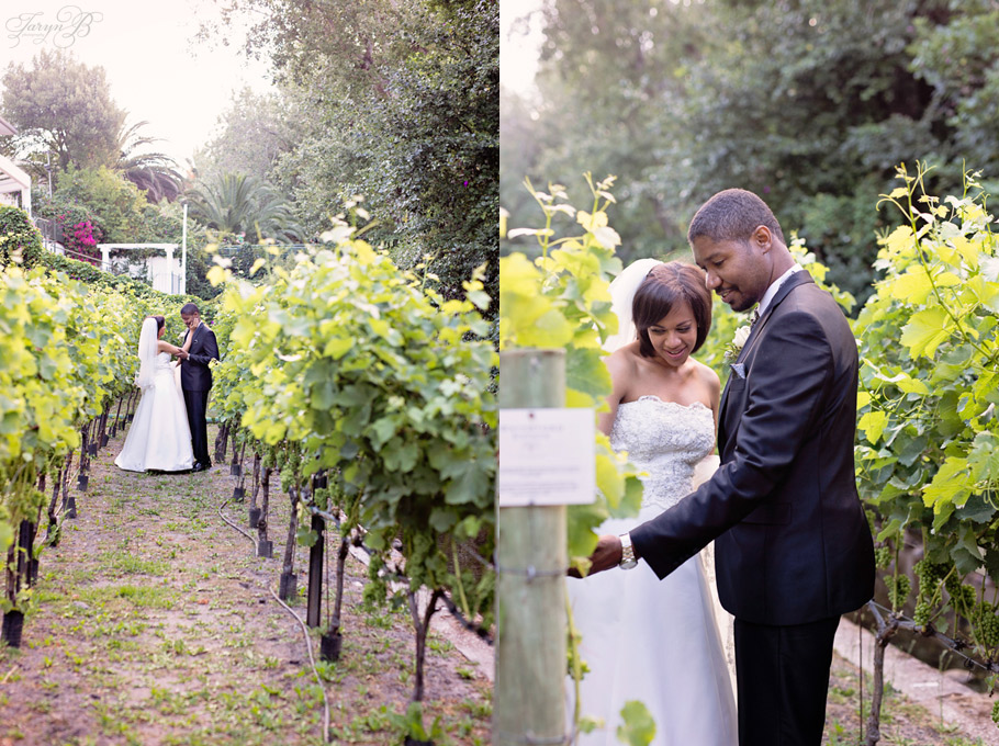 Lynn_Artelio_Taryn_B_Photography_Cape_Town_Wedding_Photographer-40