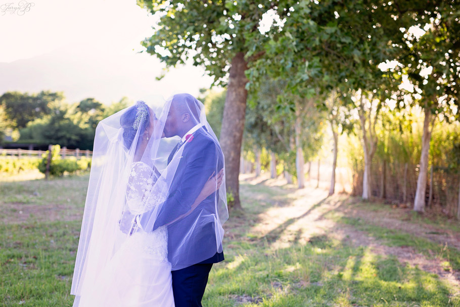 Mache_Brent_Conservatory_Franschhoek_Wedding_Taryn_B_Photography-113