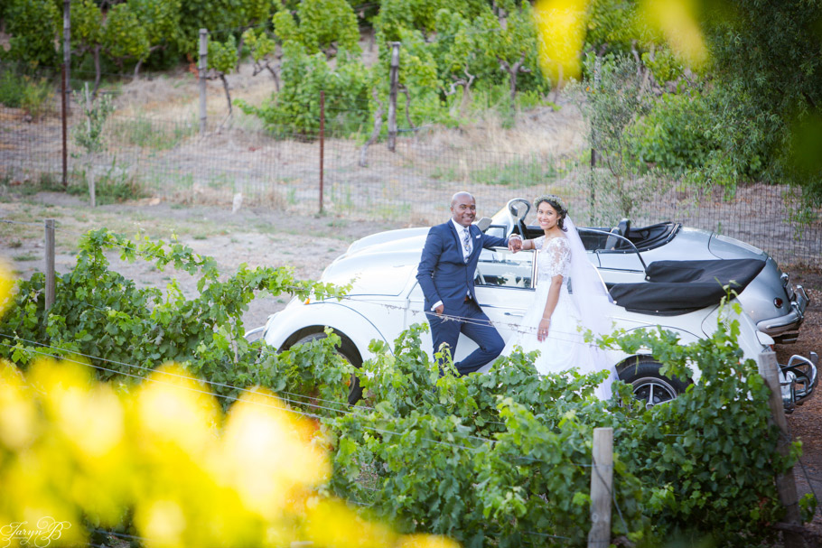 Mache_Brent_Conservatory_Franschhoek_Wedding_Taryn_B_Photography-116