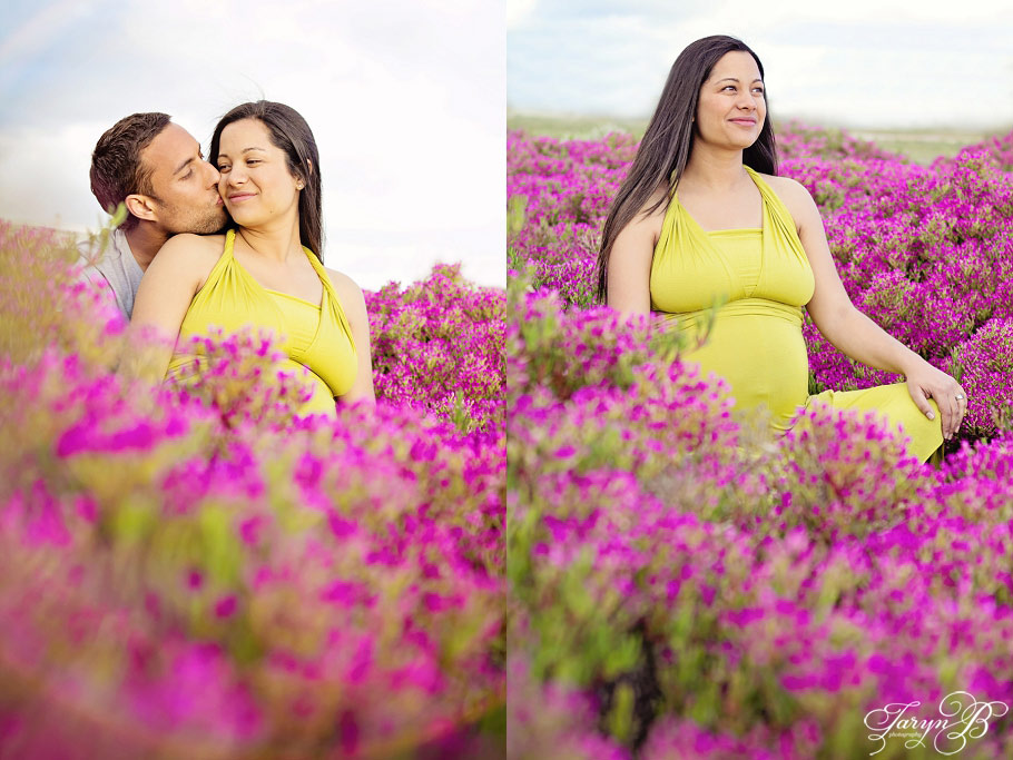 Maternity-shoot-cape-town-photographer-Taryn-B-Photography-Flower-field.jpg-9