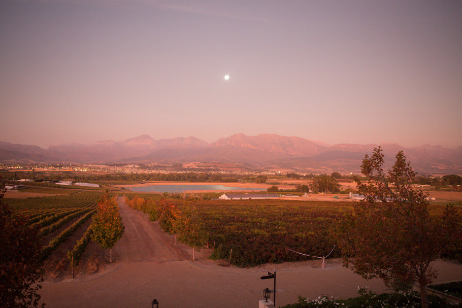 Nicole_Kean_Wedding_Taryn_B_Photographer_Cape_Town_Nantes_Estate_Paarl_Wedding-54