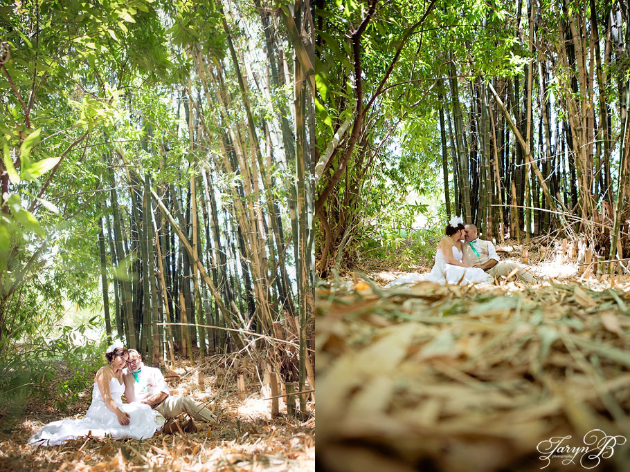 Solms_Delta_Franschhoek_Wedding_Photographer_Taryn_B_Photography_Gavin_Chandre-12