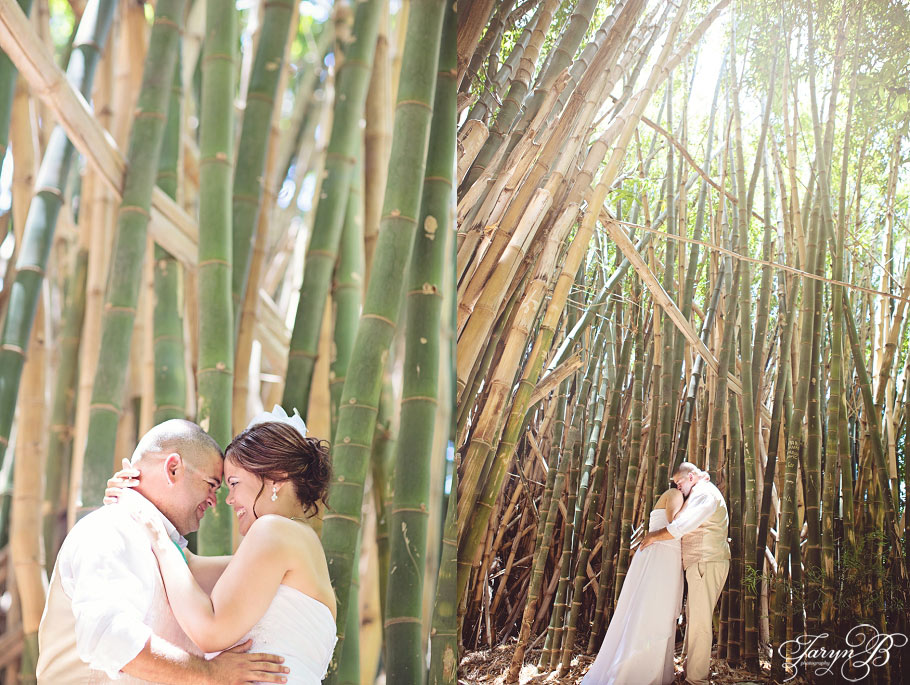 Solms_Delta_Franschhoek_Wedding_Photographer_Taryn_B_Photography_Gavin_Chandre-19